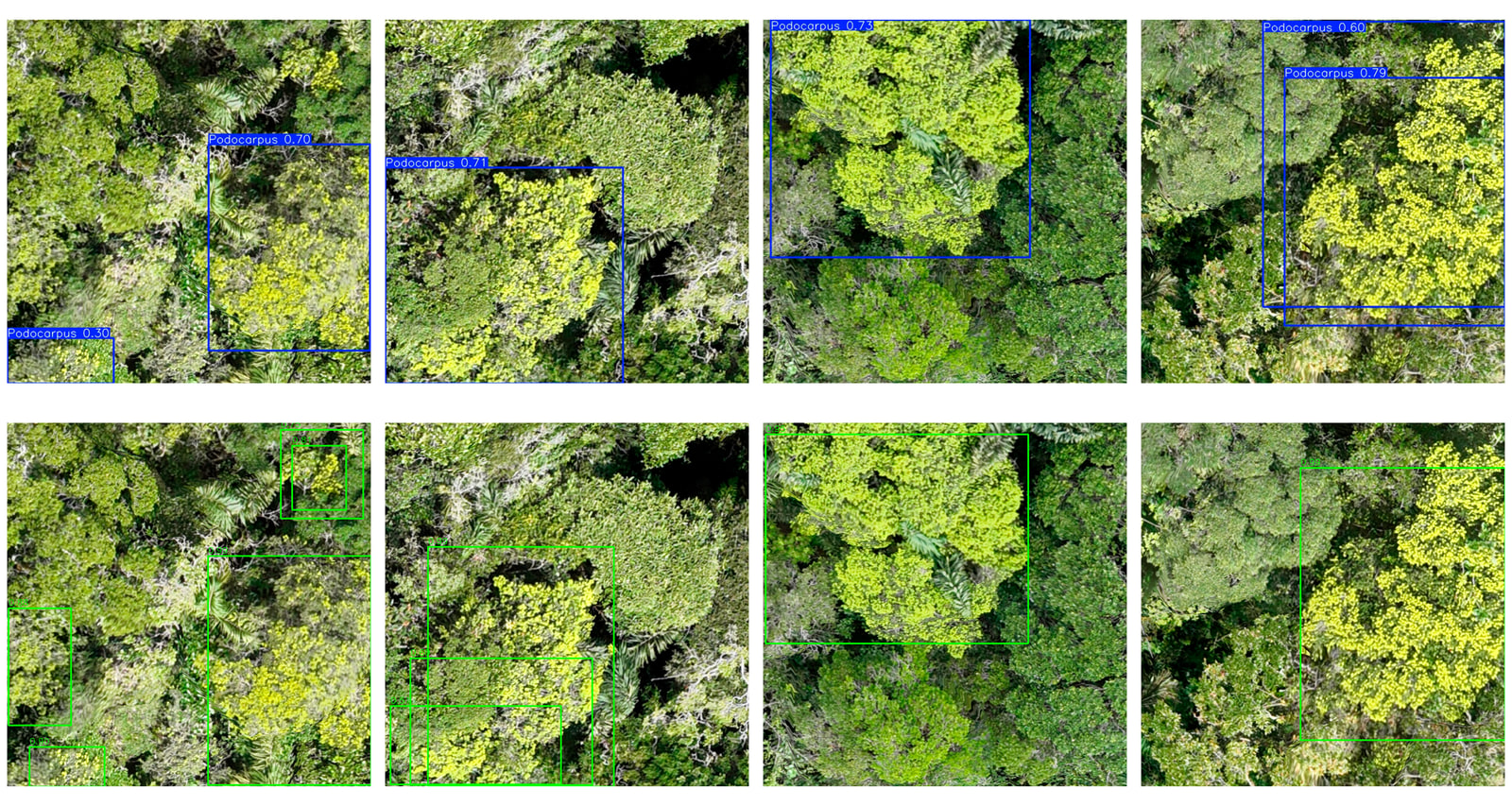 Two rows of aerial tiles of the same forest. The top row carries blue bounding boxes from the YOLO model, the bottom row green boxes from Faster R-CNN.