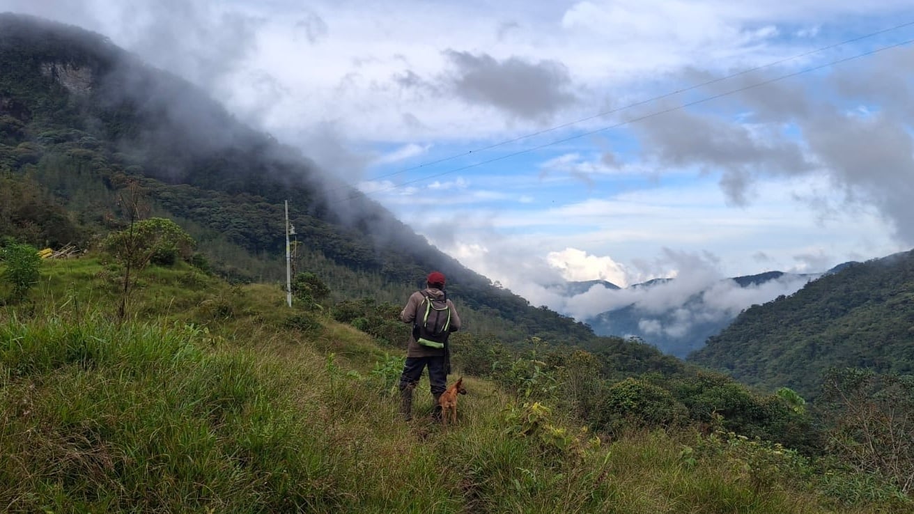 Henrri and Ciro looking out over the La Honda canyon, cloud-draped mountains in the background