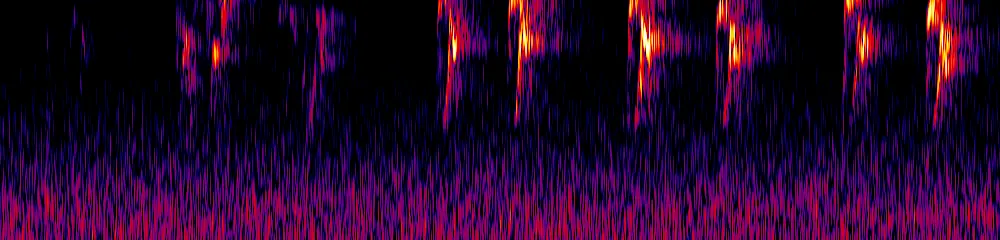 Sonogram of Cacicus uropygialis, 150 Hz to 2.6 kHz