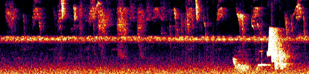 Sonogram of Cantorchilus nigricapillus, 700 Hz to 11.0 kHz