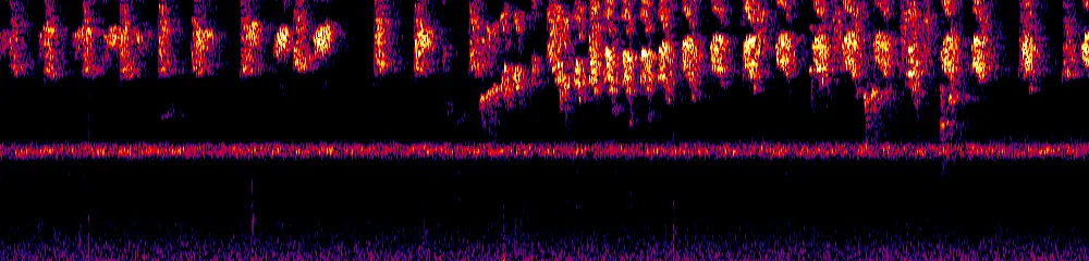 Sonogram of Chlorospingus flavigularis, 700 Hz to 11.0 kHz