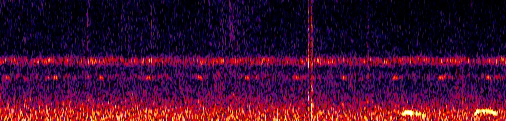 Sonogram of Ciccaba albitarsis, 300 Hz to 6.5 kHz
