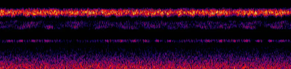 Sonogram of Dacnis cayana, 300 Hz to 6.5 kHz