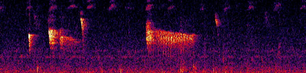 Sonogram of Diglossa albilatera, 700 Hz to 11.0 kHz
