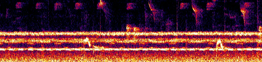 Sonogram of Elaenia frantzii, 700 Hz to 11.0 kHz