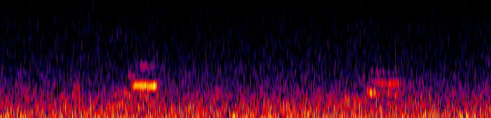 Sonogram of Electron platyrhynchum, 150 Hz to 2.6 kHz