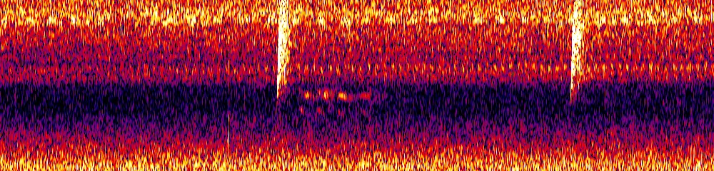 Sonogram of Empidonax virescens, 300 Hz to 6.5 kHz