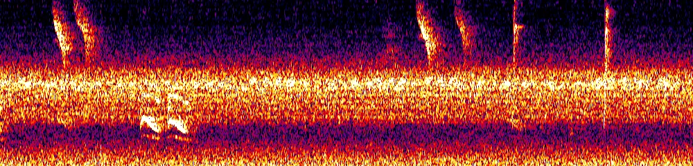Sonogram of Eucometis penicillata, 700 Hz to 11.0 kHz