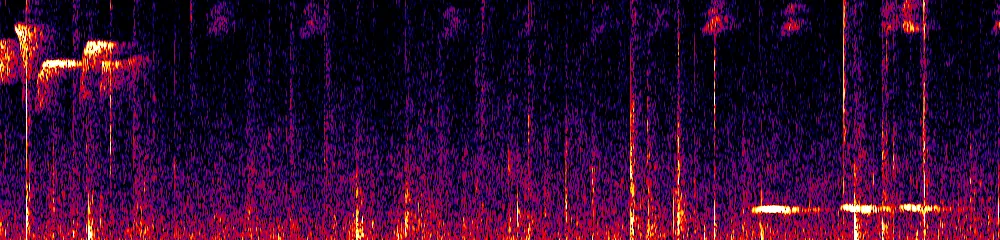 Sonogram of Grallaria hypoleuca, 700 Hz to 11.0 kHz