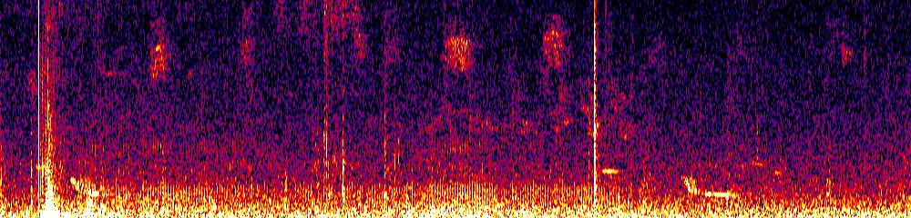 Sonogram of Grallaria ruficapilla, 700 Hz to 11.0 kHz