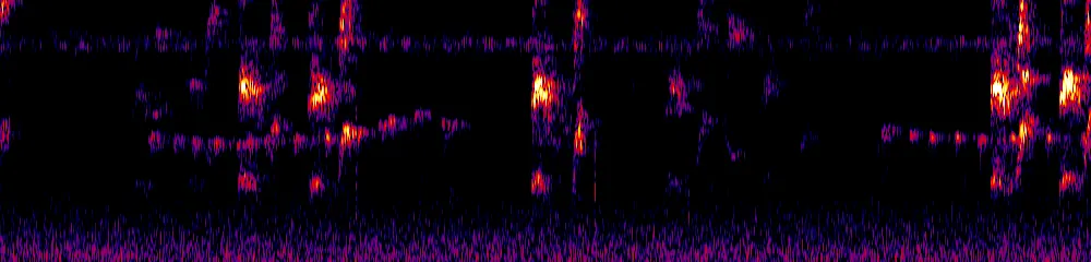 Sonogram of Habia cristata, 300 Hz to 6.5 kHz