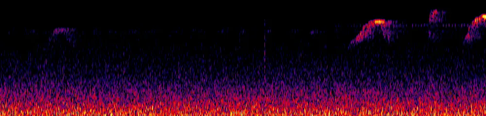 Sonogram of Harpagus bidentatus, 300 Hz to 6.5 kHz