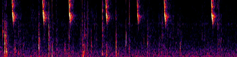 Sonogram of Heliodoxa rubinoides, 300 Hz to 6.5 kHz