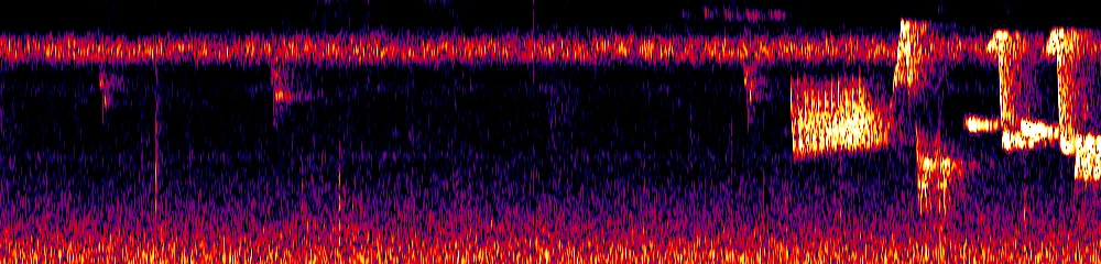 Sonogram of Henicorhina leucosticta, 300 Hz to 6.5 kHz