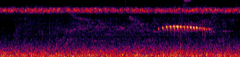 Sonogram of Herpsilochmus axillaris, 300 Hz to 6.5 kHz