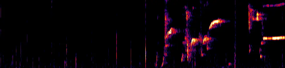 Sonogram of Hypopyrrhus pyrohypogaster, 300 Hz to 6.5 kHz