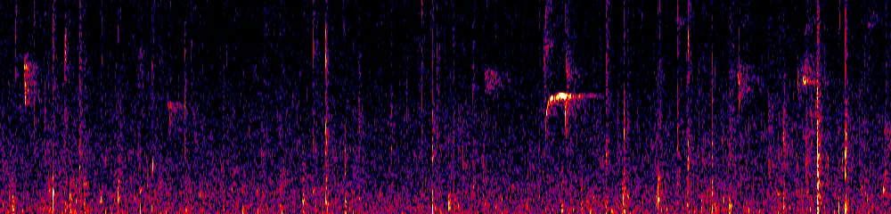 Sonogram of Leptopogon rufipectus, 700 Hz to 11.0 kHz