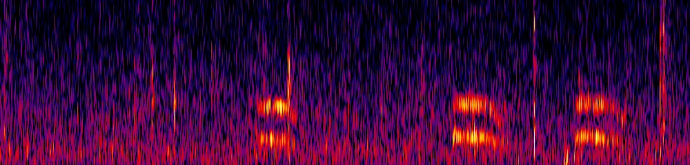 Sonogram of Micrastur semitorquatus, 150 Hz to 2.6 kHz
