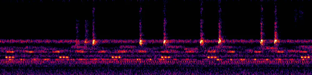 Sonogram of Mitrospingus cassinii, 700 Hz to 11.0 kHz
