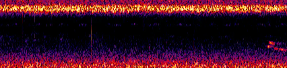 Sonogram of Morphnarchus princeps, 300 Hz to 6.5 kHz