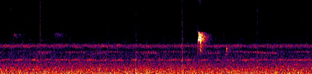 Sonogram of Myiotriccus ornatus, 700 Hz to 11.0 kHz