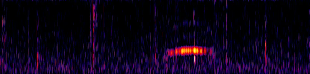 Sonogram of Nyctibius griseus, 150 Hz to 2.6 kHz