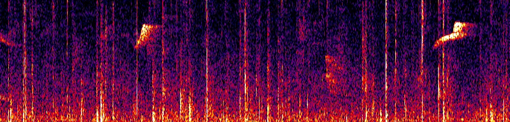 Sonogram of Pipreola aureopectus, 700 Hz to 11.0 kHz