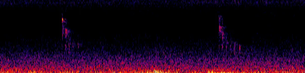 Sonogram of Piranga rubra, 300 Hz to 6.5 kHz