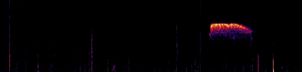 Sonogram of Premnoplex brunnescens, 700 Hz to 11.0 kHz