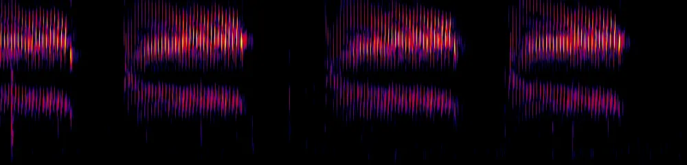 Sonogram of Scytalopus stilesi, 150 Hz to 2.6 kHz