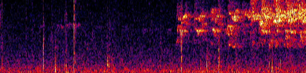 Sonogram of Streptoprocne zonaris, 300 Hz to 6.5 kHz
