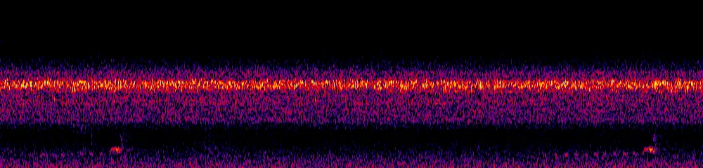 Sonogram of Thamnophilus atrinucha, 700 Hz to 11.0 kHz