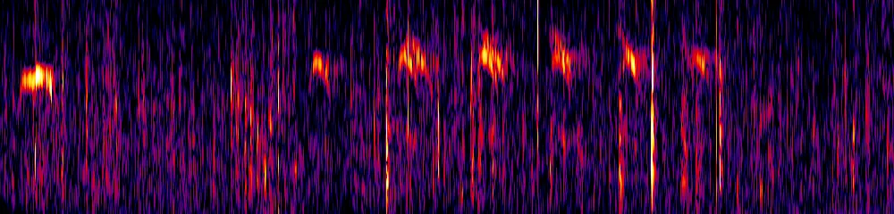 Sonogram of Thamnophilus unicolor, 150 Hz to 2.6 kHz