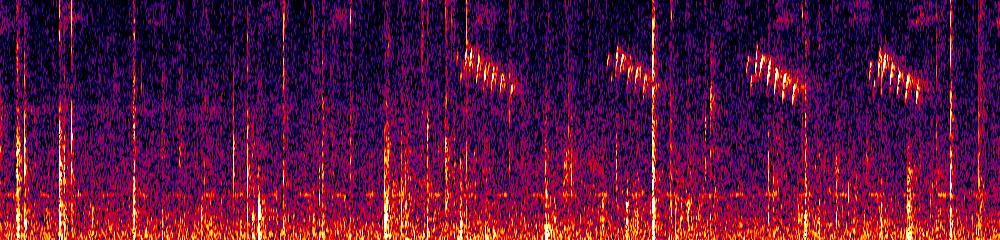 Sonogram of Troglodytes solstitialis, 700 Hz to 11.0 kHz