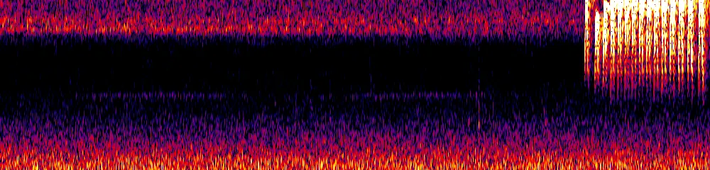 Sonogram of Xenops minutus, 300 Hz to 6.5 kHz