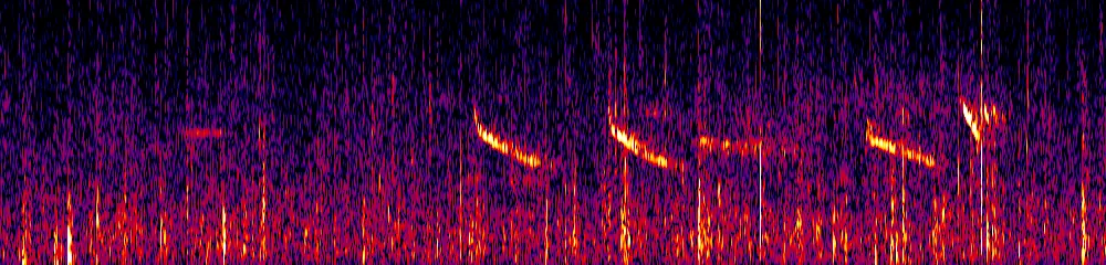 Sonogram of Zimmerius chrysops, 300 Hz to 6.5 kHz